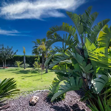 Casa Belinha Luxury 4br In Olhao Villa